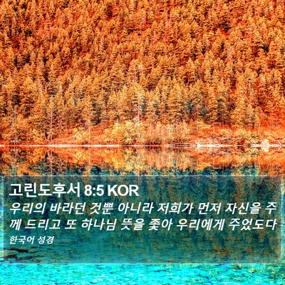 고린도후서 8:5 KOR Bible Verse Image