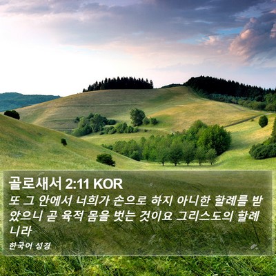 골로새서 2:11 KOR Bible Verse Image