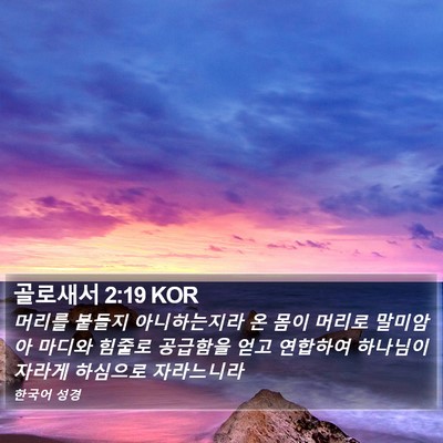 골로새서 2:19 KOR Bible Verse Image