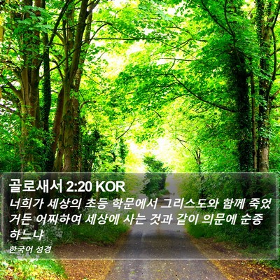 골로새서 2:20 KOR Bible Verse Image