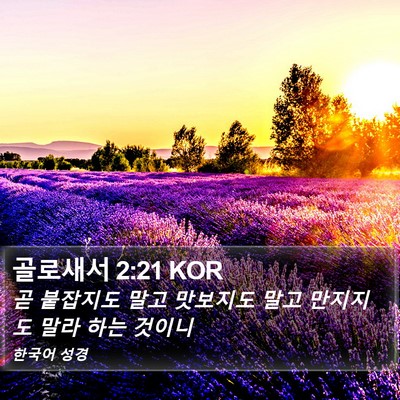 골로새서 2:21 KOR Bible Verse Image