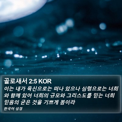 골로새서 2:5 KOR Bible Verse Image