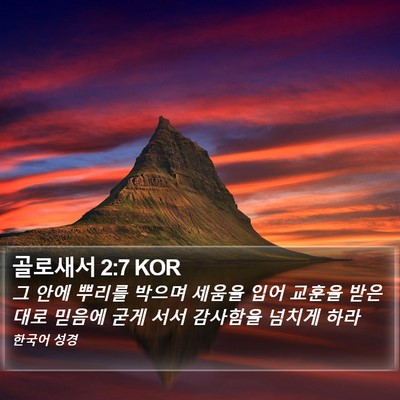 골로새서 2:7 KOR Bible Verse Image