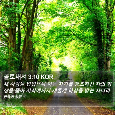 골로새서 3:10 KOR Bible Verse Image