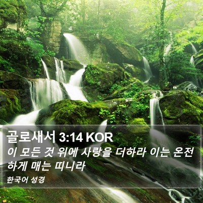 골로새서 3:14 KOR Bible Verse Image