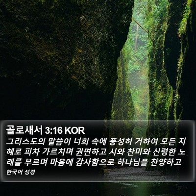 골로새서 3:16 KOR Bible Verse Image