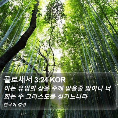골로새서 3:24 KOR Bible Verse Image