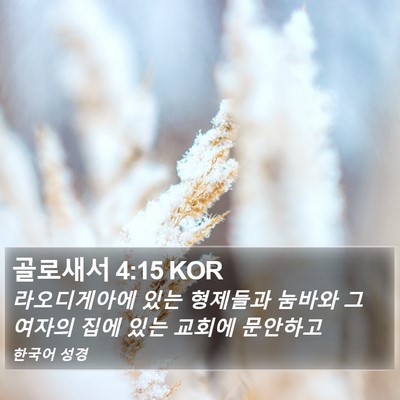 골로새서 4:15 KOR Bible Verse Image