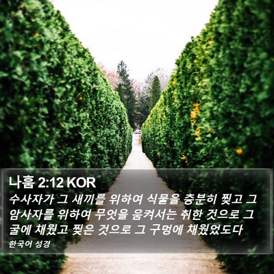 나훔 2:12 KOR Bible Verse Image