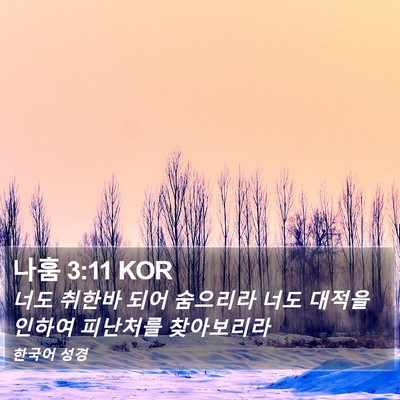 나훔 3:11 KOR Bible Verse Image