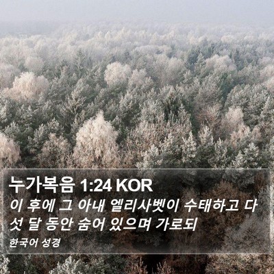 누가복음 1:24 KOR Bible Verse Image