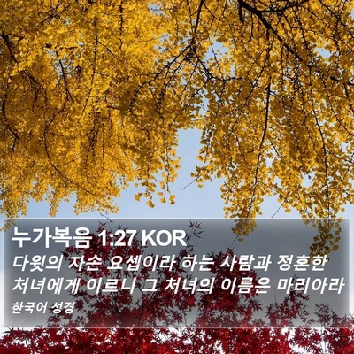 누가복음 1:27 KOR Bible Verse Image