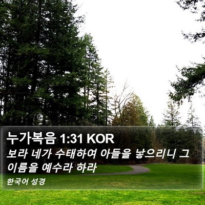 누가복음 1:31 KOR Bible Verse Image