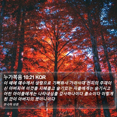 누가복음 10:21 KOR Bible Verse Image