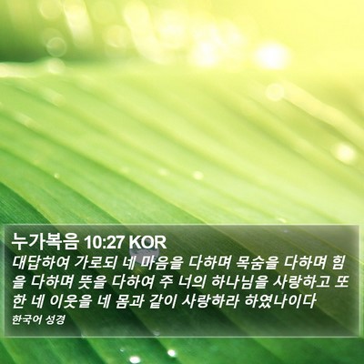 누가복음 10:27 KOR Bible Verse Image