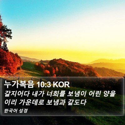 누가복음 10:3 KOR Bible Verse Image