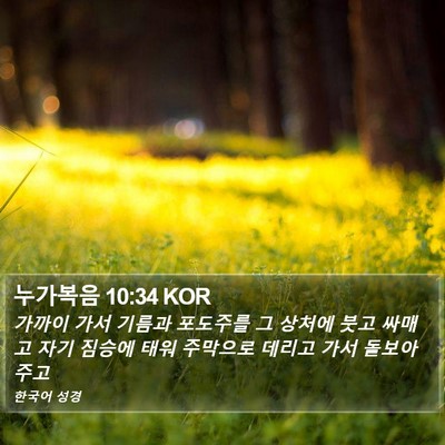 누가복음 10:34 KOR Bible Verse Image