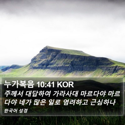 누가복음 10:41 KOR Bible Verse Image