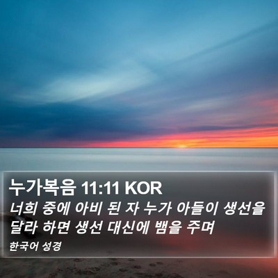 누가복음 11:11 KOR Bible Verse Image