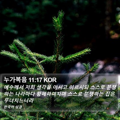 누가복음 11:17 KOR Bible Verse Image