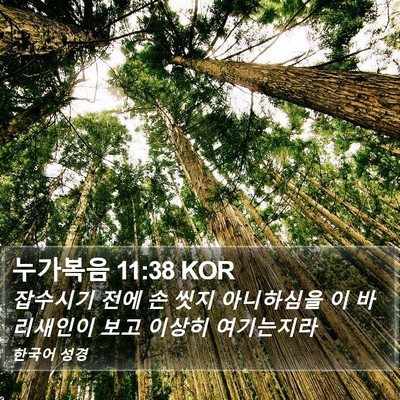 누가복음 11:38 KOR Bible Verse Image