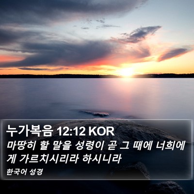 누가복음 12:12 KOR Bible Verse Image