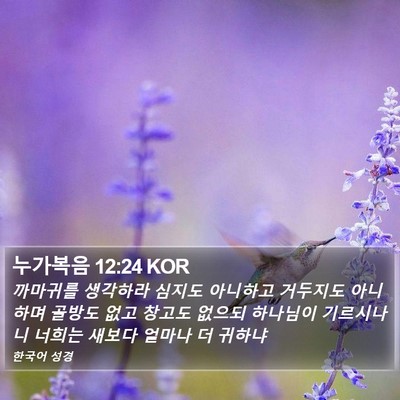 누가복음 12:24 KOR Bible Verse Image