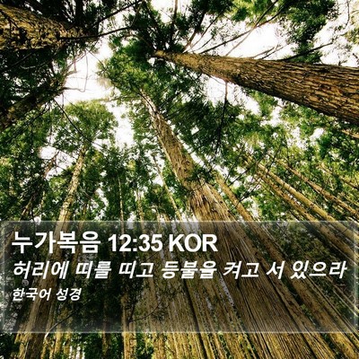 누가복음 12:35 KOR Bible Verse Image