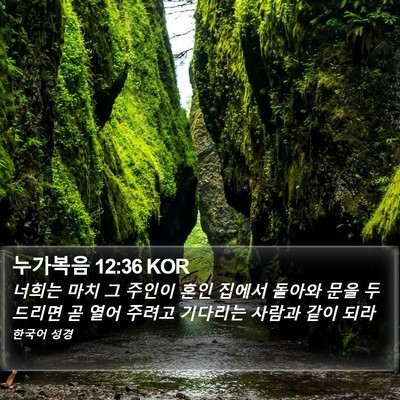 누가복음 12:36 KOR Bible Verse Image