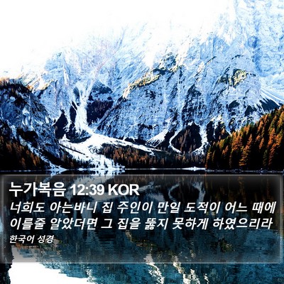 누가복음 12:39 KOR Bible Verse Image