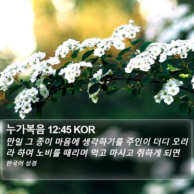 누가복음 12:45 KOR Bible Verse Image