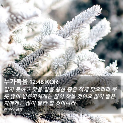 누가복음 12:48 KOR Bible Verse Image
