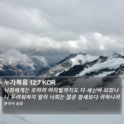 누가복음 12:7 KOR Bible Verse Image