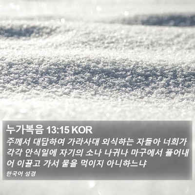 누가복음 13:15 KOR Bible Verse Image
