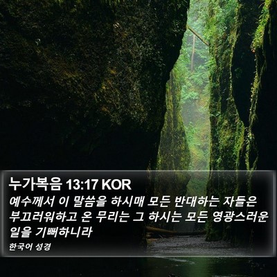 누가복음 13:17 KOR Bible Verse Image