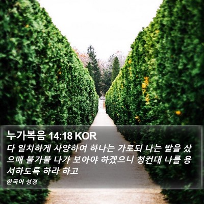 누가복음 14:18 KOR Bible Verse Image