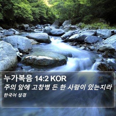 누가복음 14:2 KOR Bible Verse Image