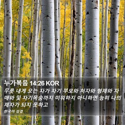 누가복음 14:26 KOR Bible Verse Image