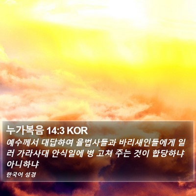 누가복음 14:3 KOR Bible Verse Image