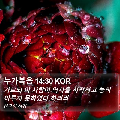 누가복음 14:30 KOR Bible Verse Image