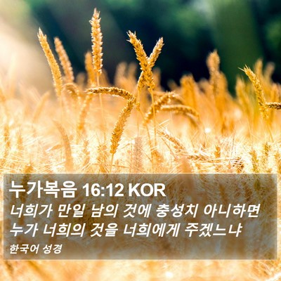 누가복음 16:12 KOR Bible Verse Image