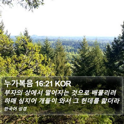 누가복음 16:21 KOR Bible Verse Image