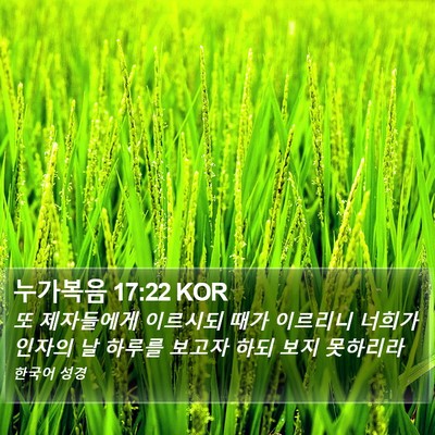 누가복음 17:22 KOR Bible Verse Image