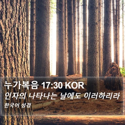 누가복음 17:30 KOR Bible Verse Image