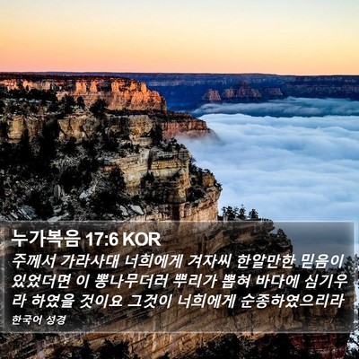 누가복음 17:6 KOR Bible Verse Image