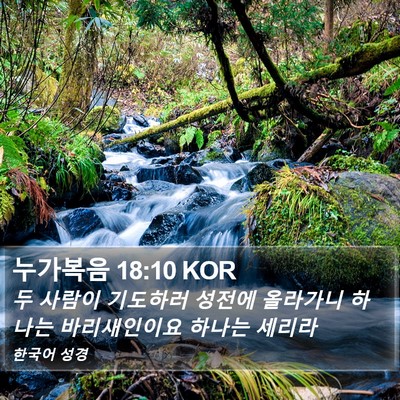 누가복음 18:10 KOR Bible Verse Image