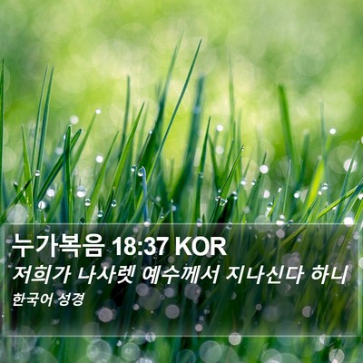 누가복음 18:37 KOR Bible Verse Image