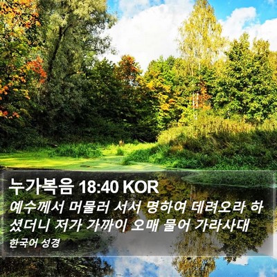 누가복음 18:40 KOR Bible Verse Image