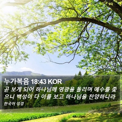 누가복음 18:43 KOR Bible Verse Image
