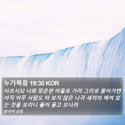 누가복음 19:30 KOR Bible Verse Image